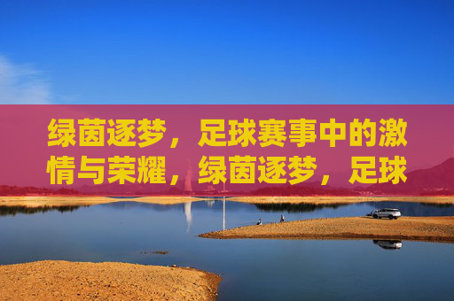 绿茵逐梦,足球赛事中的激情与荣耀,绿茵逐梦,足球赛事中的激情与荣耀