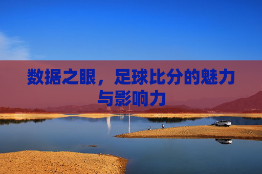 数据之眼,足球比分的魅力与影响力