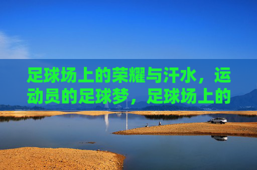 足球场上的荣耀与汗水，运动员的足球梦，足球场上的荣耀与汗水，运动员的足球梦
