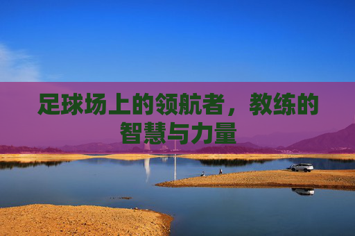 足球场上的领航者,教练的智慧与力量