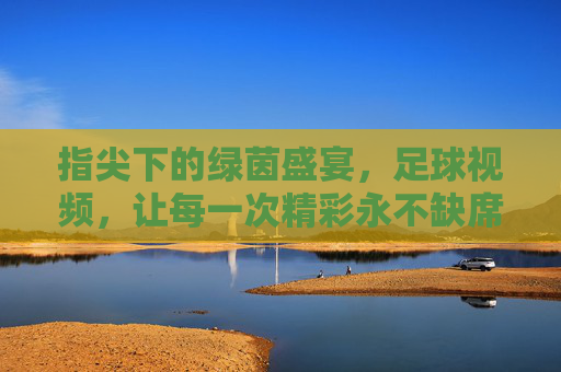 指尖下的绿茵盛宴，足球视频，让每一次精彩永不缺席