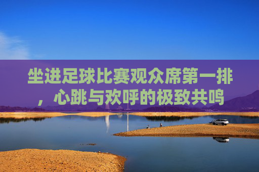 坐进足球比赛观众席第一排,心跳与欢呼的极致共鸣