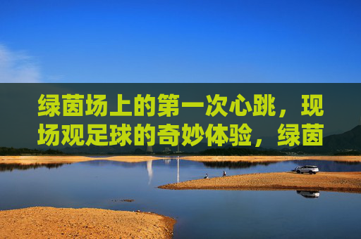 绿茵场上的第一次心跳,现场观足球的奇妙体验,绿茵场上的第一次心跳,现场观足球的奇妙体验