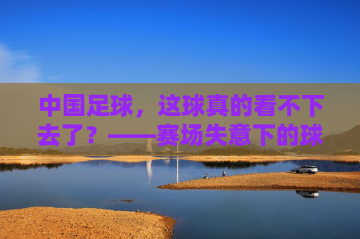 中国足球,这球真的看不下去了?——赛场失意下的球迷焦虑与行业深层反思