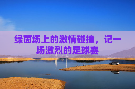 绿茵场上的激情碰撞，记一场激烈的足球赛