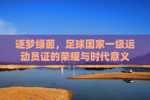 逐梦绿茵，足球国家一级运动员证的荣耀与时代意义