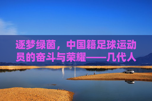 逐梦绿茵,中国籍足球运动员的奋斗与荣耀——几代人的足球情缘与时代答卷