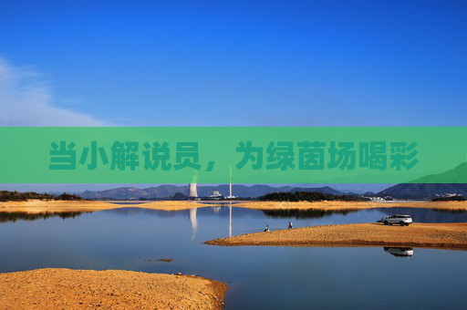 当小解说员，为绿茵场喝彩