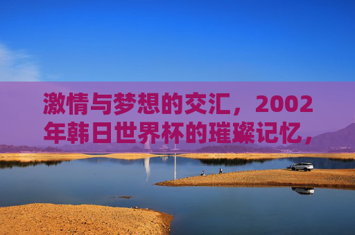 激情与梦想的交汇，2002年韩日世界杯的璀璨记忆，激情与梦想的交汇，2002年韩日世界杯的璀璨记忆