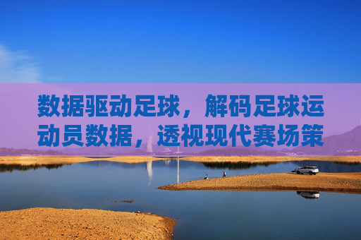 数据驱动足球，解码足球运动员数据，透视现代赛场策略与表现，数据驱动足球，解码足球运动员数据，透视现代赛场策略与表现