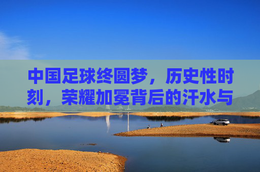 中国足球终圆梦,历史性时刻,荣耀加冕背后的汗水与希望,中国足球圆梦,历史性时刻的荣耀与希望