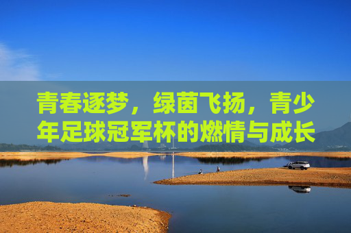 青春逐梦，绿茵飞扬，青少年足球冠军杯的燃情与成长，青春逐梦，绿茵飞扬，青少年足球冠军杯的燃情与成长
