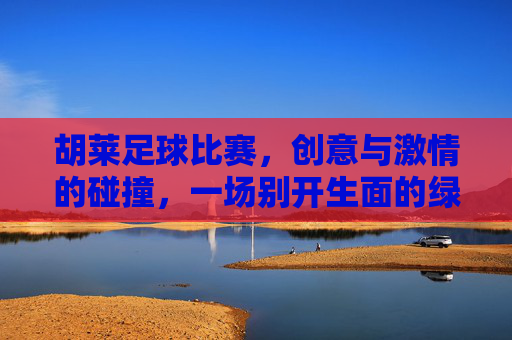 胡莱足球比赛，创意与激情的碰撞，一场别开生面的绿茵盛宴，胡莱足球比赛，创意与激情的碰撞，一场别开生面的绿茵盛宴
