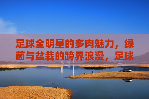 足球全明星的多肉魅力,绿茵与盆栽的跨界浪漫,足球全明星的多肉魅力,绿茵与盆栽的跨界浪漫