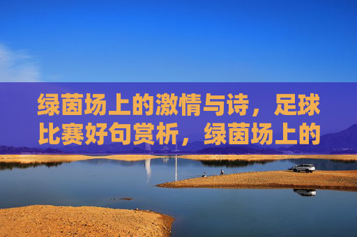 绿茵场上的激情与诗，足球比赛好句赏析，绿茵场上的激情与诗，足球比赛好句赏析