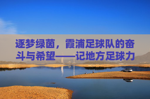 逐梦绿茵,霞浦足球队的奋斗与希望——记地方足球力量的小城故事,逐梦绿茵,霞浦足球队的奋斗与希望——记地方足球力量的小城故事