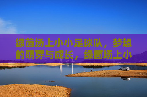 绿茵场上小小足球队,梦想的萌芽与成长,绿茵场上小小足球队的梦想萌芽与成长