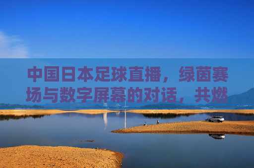 中国日本足球直播，绿茵赛场与数字屏幕的对话，共燃足球激情的数字盛宴，中国日本足球直播，绿茵赛场与数字屏幕的对话，共燃足球激情的数字盛宴