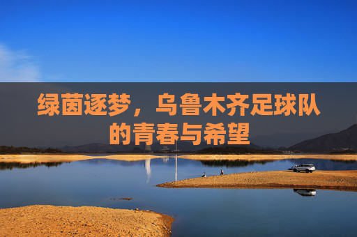 绿茵逐梦，乌鲁木齐足球队的青春与希望