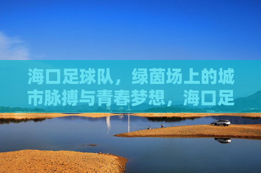 海口足球队，绿茵场上的城市脉搏与青春梦想，海口足球队，绿茵场上的城市脉搏与青春梦想