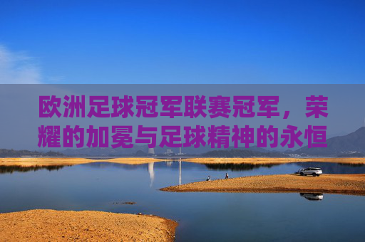 欧洲足球冠军联赛冠军,荣耀的加冕与足球精神的永恒回响