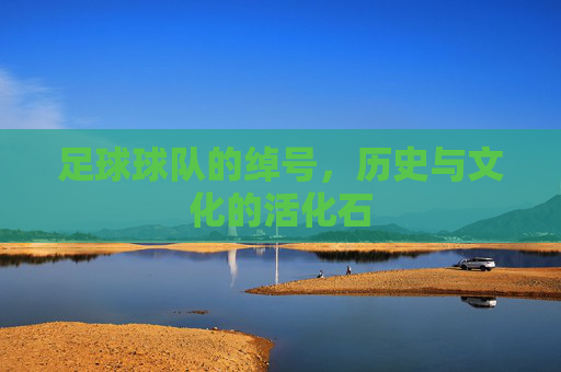 足球球队的绰号，历史与文化的活化石