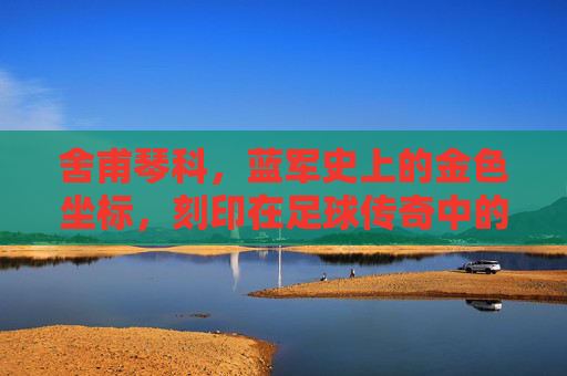 舍甫琴科,蓝军史上的金色坐标,刻印在足球传奇中的不朽篇章