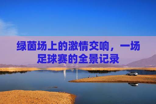 绿茵场上的激情交响,一场足球赛的全景记录