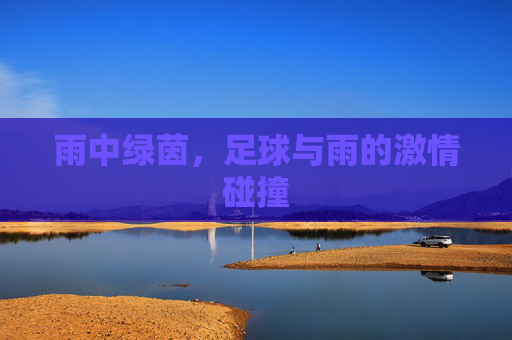 雨中绿茵，足球与雨的激情碰撞