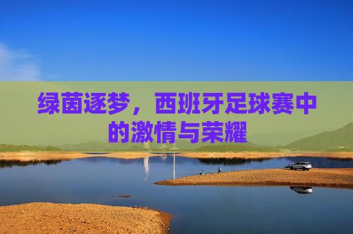 绿茵逐梦,西班牙足球赛中的激情与荣耀