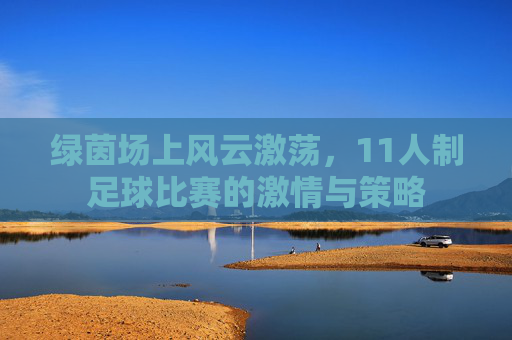 绿茵场上风云激荡,11人制足球比赛的激情与策略