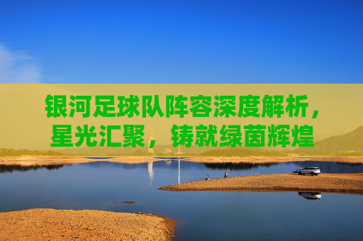 银河足球队阵容深度解析,星光汇聚,铸就绿茵辉煌