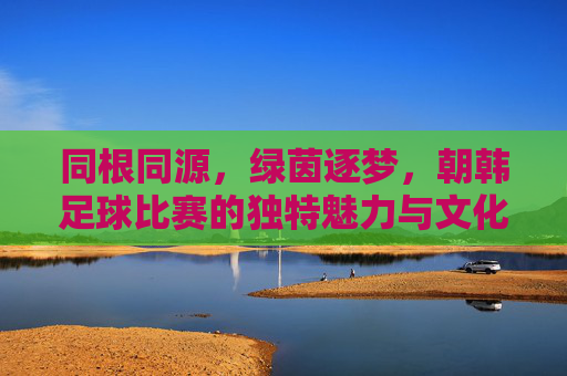 同根同源,绿茵逐梦,朝韩足球比赛的独特魅力与文化联结,同根同源,绿茵逐梦,朝韩足球比赛的独特魅力与文化联结
