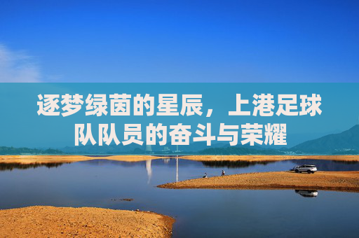 逐梦绿茵的星辰,上港足球队队员的奋斗与荣耀