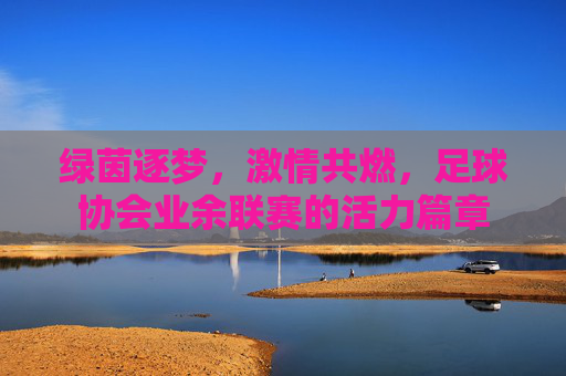 绿茵逐梦，激情共燃，足球协会业余联赛的活力篇章