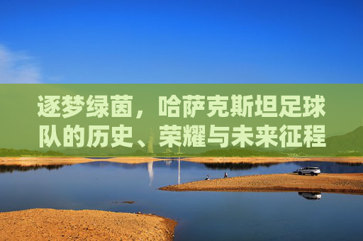逐梦绿茵，哈萨克斯坦足球队的历史、荣耀与未来征程