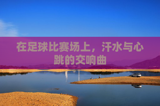 在足球比赛场上,汗水与心跳的交响曲