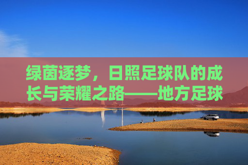 绿茵逐梦,日照足球队的成长与荣耀之路——地方足球的活力源泉与未来展望