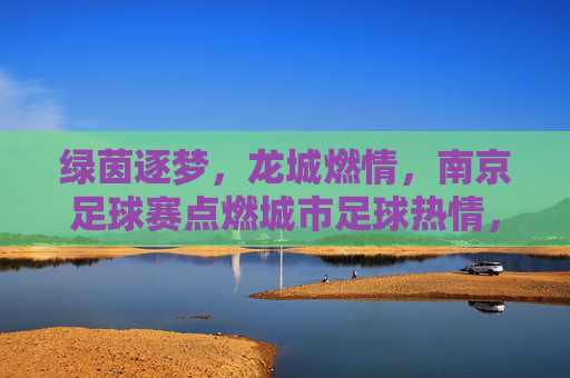 绿茵逐梦，龙城燃情，南京足球赛点燃城市足球热情，绿茵逐梦，龙城燃情，南京足球赛点燃城市足球热情