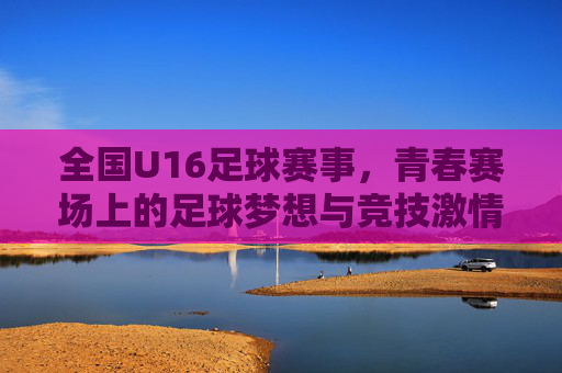 全国U16足球赛事，青春赛场上的足球梦想与竞技激情