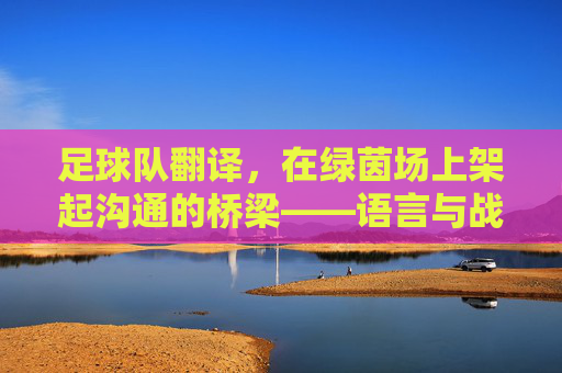 足球队翻译,在绿茵场上架起沟通的桥梁——语言与战术的交汇点