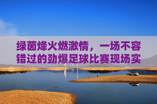 绿茵烽火燃激情，一场不容错过的劲爆足球比赛现场实录