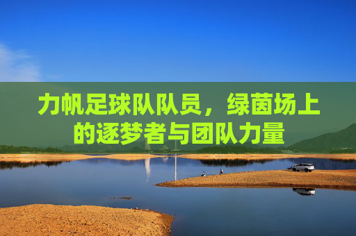 力帆足球队队员，绿茵场上的逐梦者与团队力量