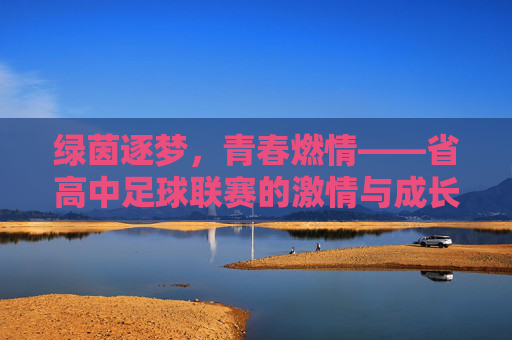 绿茵逐梦,青春燃情——省高中足球联赛的激情与成长,绿茵逐梦,青春燃情——省高中足球联赛的激情与成长