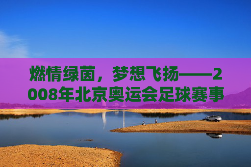 燃情绿茵，梦想飞扬——2008年北京奥运会足球赛事的璀璨记忆