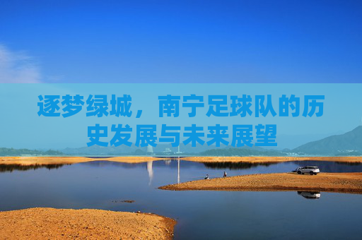 逐梦绿城,南宁足球队的历史发展与未来展望