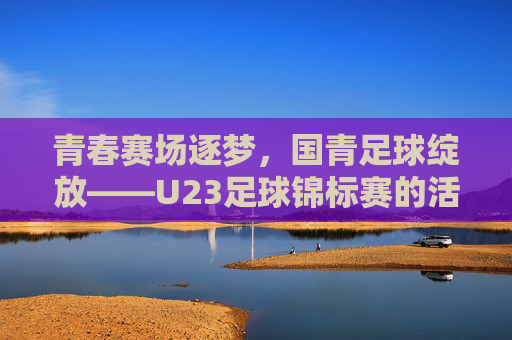 青春赛场逐梦，国青足球绽放——U23足球锦标赛的活力与荣耀，青春赛场逐梦，国青足球绽放——U23足球锦标赛的活力与荣耀