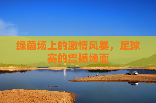 绿茵场上的激情风暴,足球赛的震撼场面