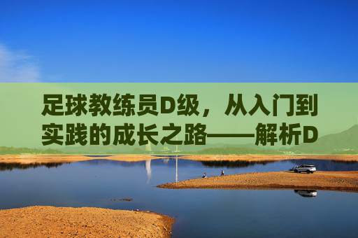 足球教练员D级,从入门到实践的成长之路——解析D级证书的内涵与价值