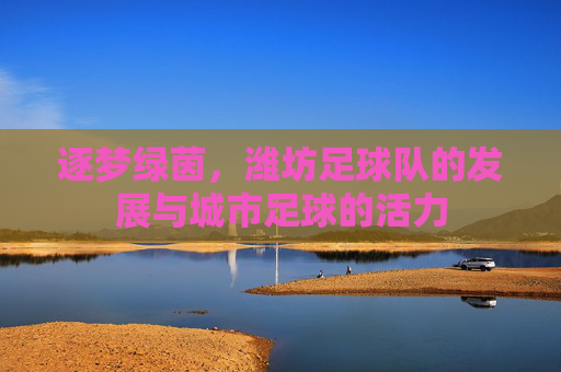 逐梦绿茵，潍坊足球队的发展与城市足球的活力